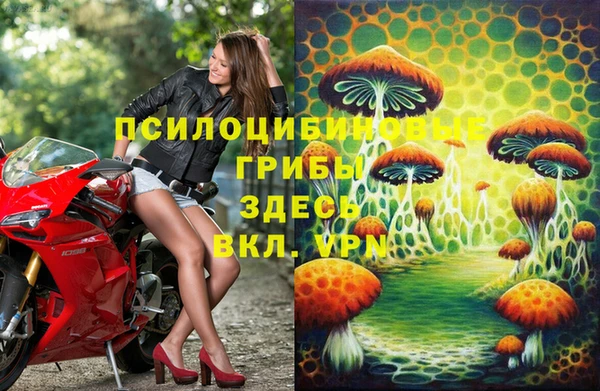 прущий лед Абаза