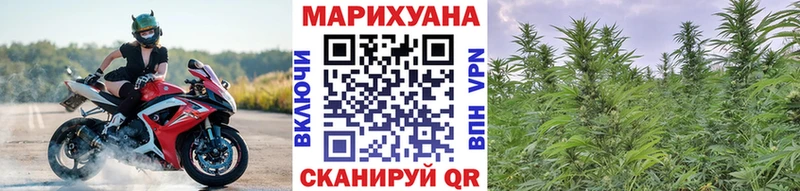 Бошки марихуана Ganja Новокубанск