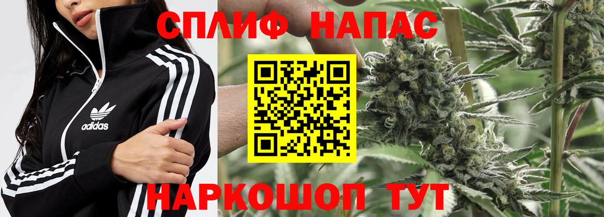 Меф Новокубанск